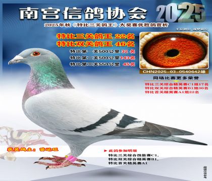 南宮鴿會(huì)三關(guān)鴿王22名
