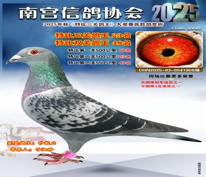 南宮鴿會(huì)三關(guān)鴿王23名