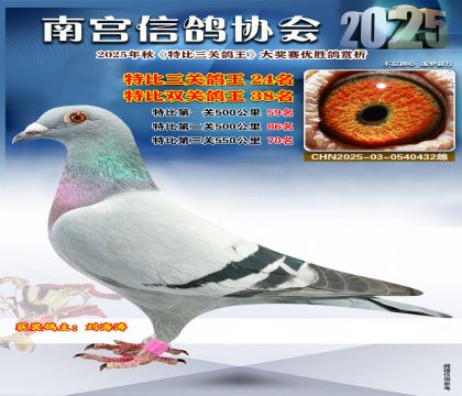 南宮鴿會(huì)三關(guān)鴿王24名