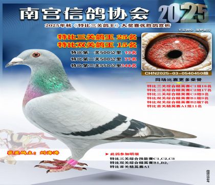 南宮鴿會(huì)三關(guān)鴿王25名