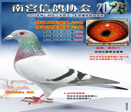 南宮鴿會(huì)三關(guān)鴿王26名