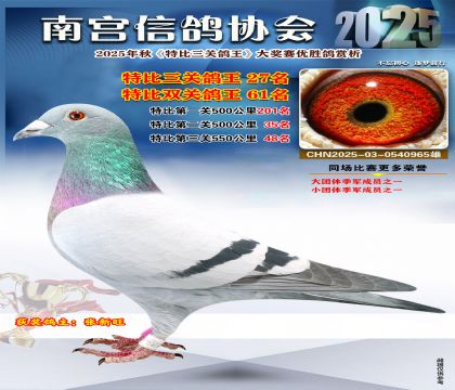 南宮鴿會(huì)三關(guān)鴿王27名