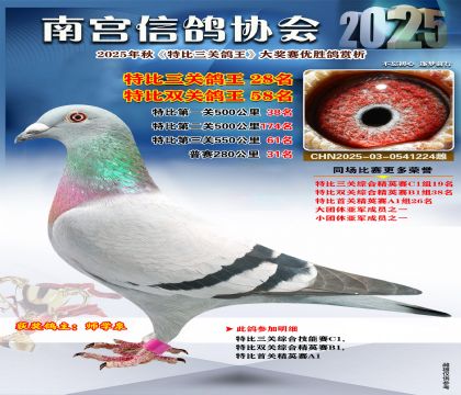 南宮鴿會(huì)三關(guān)鴿王28名