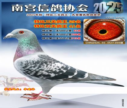 南宮鴿會(huì)三關(guān)鴿王29名