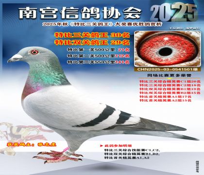 南宮鴿會(huì)三關(guān)鴿王30名