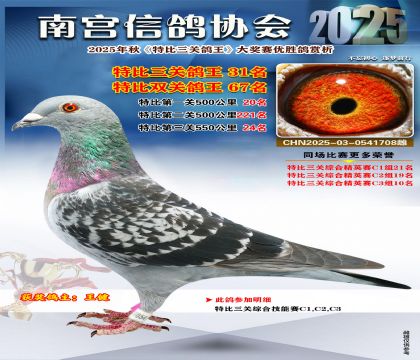 南宮鴿會(huì)三關(guān)鴿王31名