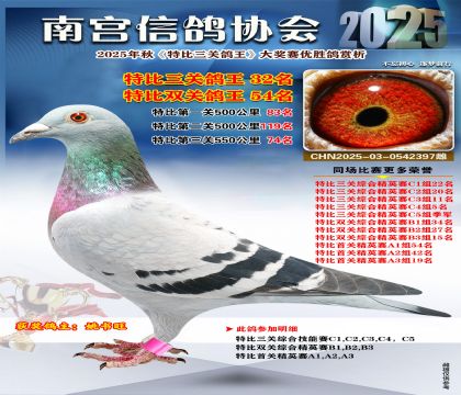南宮鴿會(huì)三關(guān)鴿王32名