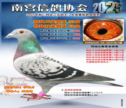 南宮鴿會(huì)三關(guān)鴿王33名