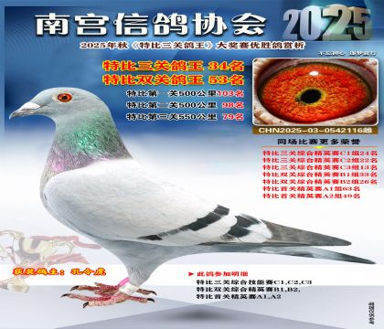 南宮鴿會(huì)三關(guān)鴿王34名