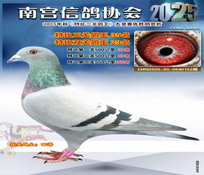 南宮鴿會(huì)三關(guān)鴿王35名