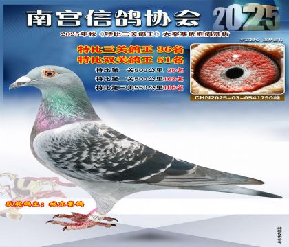 南宮鴿會(huì)三關(guān)鴿王36名