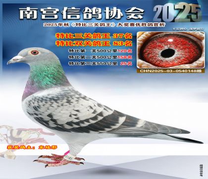 南宮鴿會(huì)三關(guān)鴿王37名