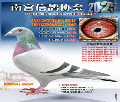南宮鴿會(huì)三關(guān)鴿王38名