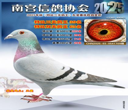 南宮鴿會(huì)三關(guān)鴿王39名