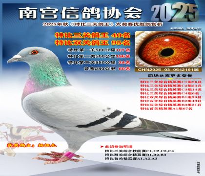 南宮鴿會(huì)三關(guān)鴿王40名