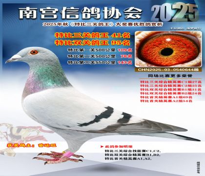 南宮鴿會(huì)三關(guān)鴿王41名