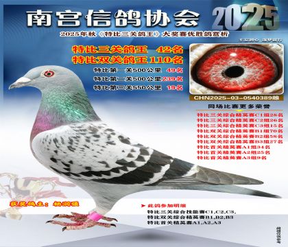 南宮鴿會(huì)三關(guān)鴿王42名