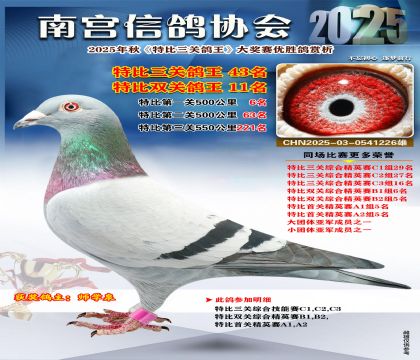 南宮鴿會(huì)三關(guān)鴿王43名