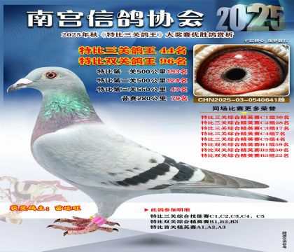 南宮鴿會(huì)三關(guān)鴿王44名