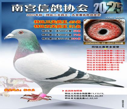 南宮鴿會(huì)三關(guān)鴿王45名