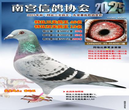 南宮鴿會(huì)三關(guān)鴿王46名