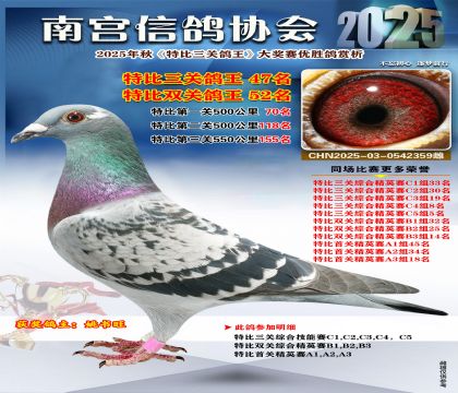 南宮鴿會(huì)三關(guān)鴿王47名