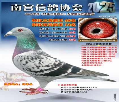 南宮鴿會(huì)三關(guān)鴿王48名