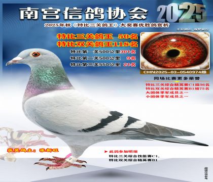 南宮鴿會(huì)三關(guān)鴿王50名