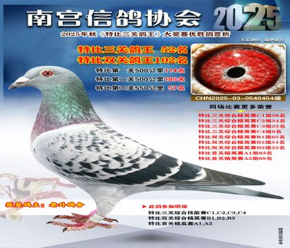 南宮鴿會(huì)三關(guān)鴿王52名