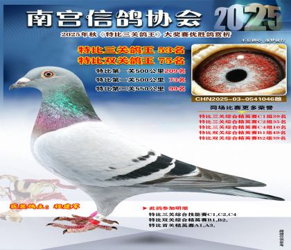 南宮鴿會(huì)三關(guān)鴿王53名