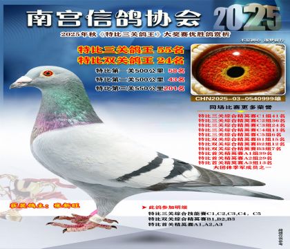 南宮鴿會(huì)三關(guān)鴿王55名