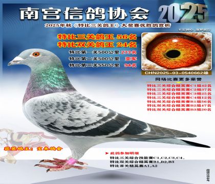 南宮鴿會(huì)三關(guān)鴿王56名