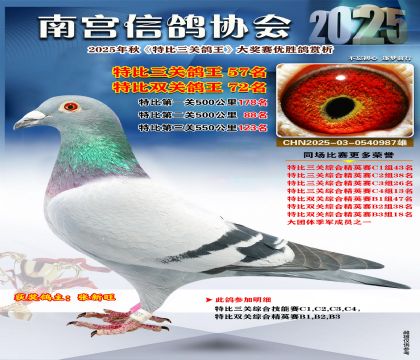 南宮鴿會(huì)三關(guān)鴿王57名
