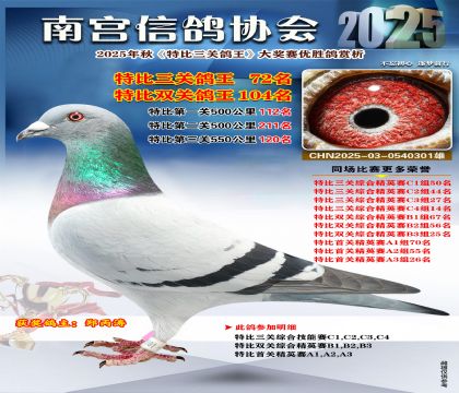 南宮鴿會(huì)三關(guān)鴿王72名