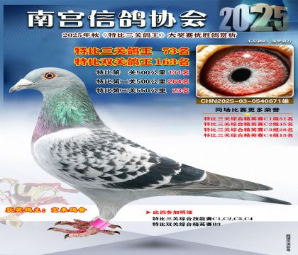 南宮鴿會(huì)三關(guān)鴿王73名