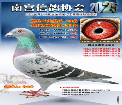 南宮鴿會(huì)三關(guān)鴿王79名