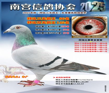南宮鴿會(huì)三關(guān)鴿王86名