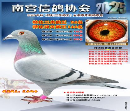 南宮鴿會(huì)三關(guān)鴿王94名