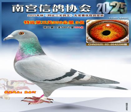 南宮鴿會(huì)第三關(guān)5名