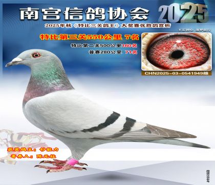 南宮鴿會(huì)第三關(guān)7名