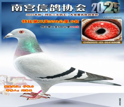 南宮鴿會(huì)第三關(guān)9名