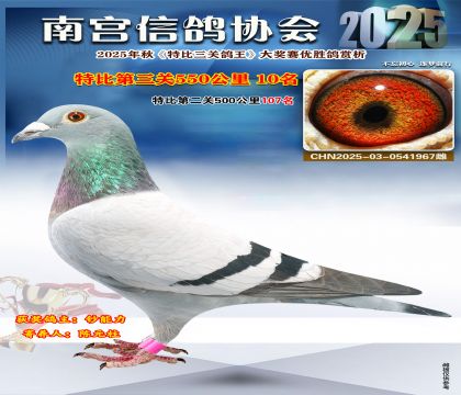 南宮鴿會(huì)第三關(guān)10名