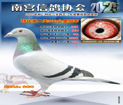 南宮鴿會(huì)第二關(guān)冠軍