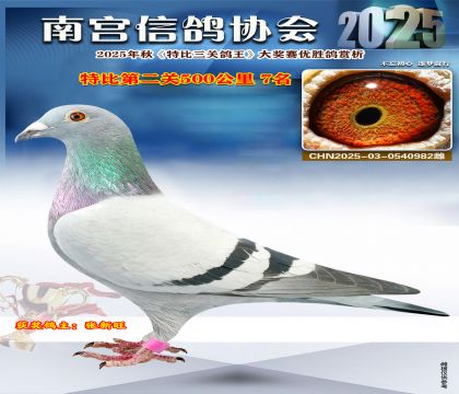 南宮鴿會(huì)第二關(guān)7名