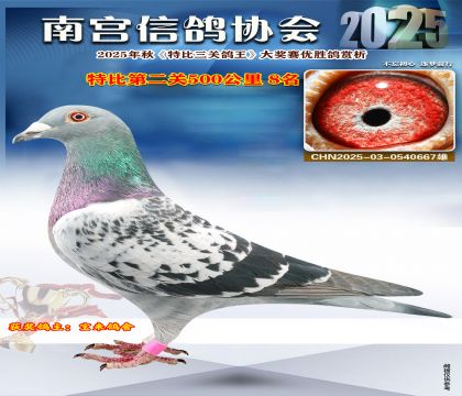 南宮鴿會(huì)第二關(guān)8名