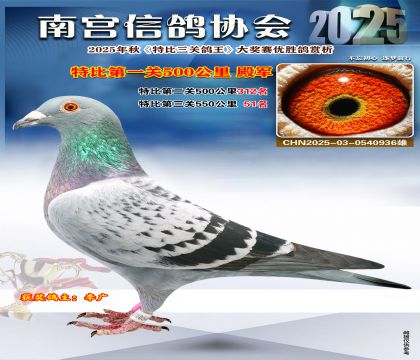 南宮鴿會(huì)第一關(guān)4名