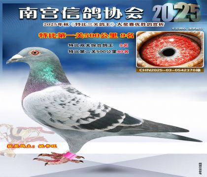 南宮鴿會(huì)第一關(guān)9名