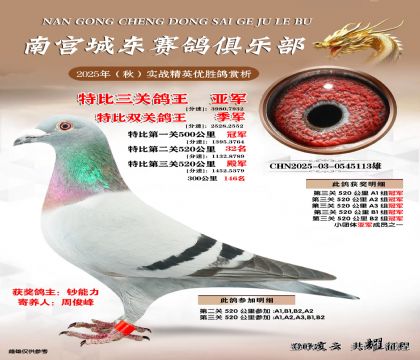 南宮城東三關(guān)鴿王亞軍