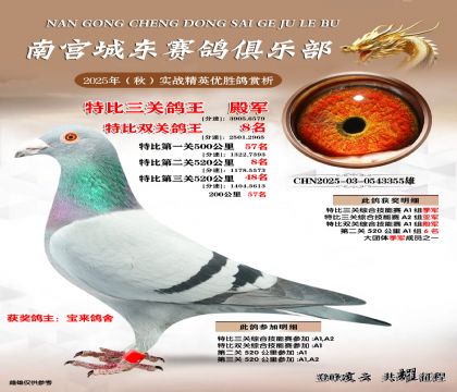 南宮城東三關(guān)鴿王4名