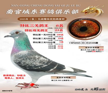 南宮城東三關(guān)鴿王6名